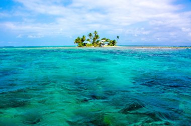 Tropikal ve cennet küçük ada, Karayip Denizi, Belize - Orta Amerika