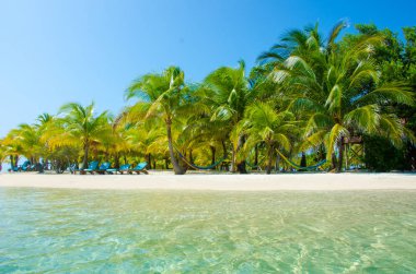 Güney Su Caye Belize - küçük Karayip Cennet Adası tropik beach tatil ve dinlenme için ile