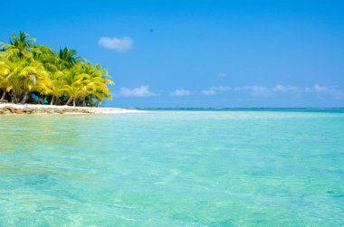 Güney Su Caye Belize - küçük Karayip Cennet Adası tropik beach tatil ve dinlenme için ile