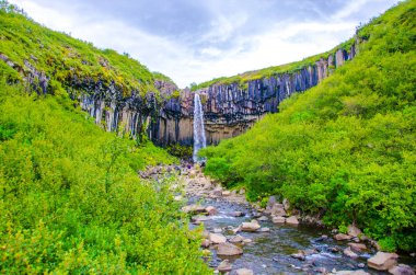 İzlanda'daki Svartifoss güzel şelale