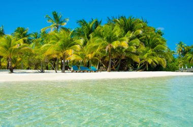 Güney Su Caye Belize - küçük Karayip Cennet Adası tropik beach tatil ve dinlenme için ile