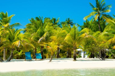 Güney Su Caye Belize - küçük Karayip Cennet Adası tropik beach tatil ve dinlenme için ile