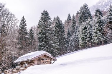 Oberstdorf, Allgaeu, Bavyera, Almanya, Almanya Alpleri'nde güzel kış manzarası