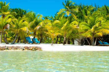 Güney Su Caye Belize - küçük Karayip Cennet Adası tropik beach tatil ve dinlenme için ile