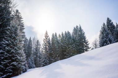 Oberstdorf, Allgaeu, Bavyera, Almanya, Almanya Alpleri'nde güzel kış manzarası