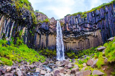 İzlanda'daki Svartifoss güzel şelale