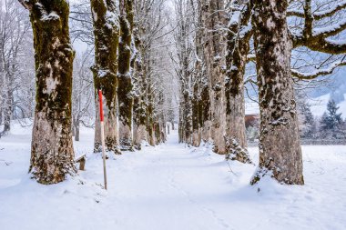 Oberstdorf, Allgaeu, Bavyera, Almanya, Almanya Alpleri'nde güzel kış manzarası