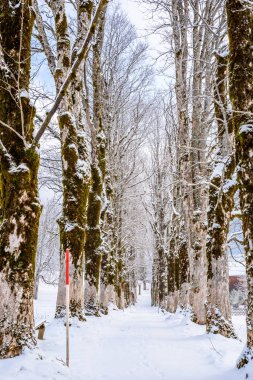 Oberstdorf, Allgaeu, Bavyera, Almanya, Almanya Alpleri'nde güzel kış manzarası