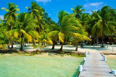 Güney Su Caye Belize - küçük Karayip Cennet Adası tropik beach tatil ve dinlenme için ile