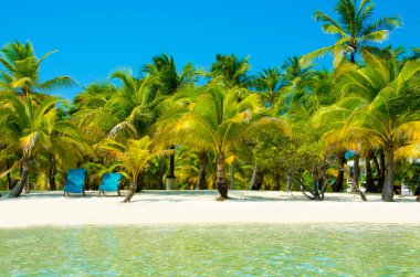 Güney Su Caye Belize - küçük Karayip Cennet Adası tropik beach tatil ve dinlenme için ile