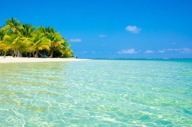 Güney Su Caye Belize - küçük Karayip Cennet Adası tropik beach tatil ve dinlenme için ile