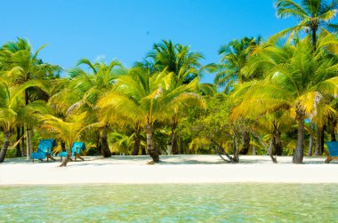 Güney Su Caye Belize - küçük Karayip Cennet Adası tropik beach tatil ve dinlenme için ile