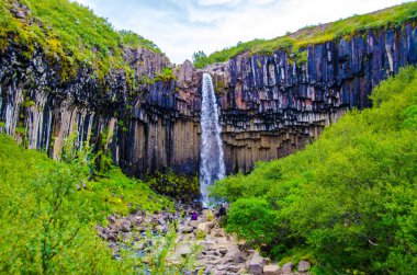 İzlanda'daki Svartifoss güzel şelale