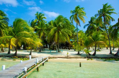 South Water Caye in Belize - small caribbean paradise island with tropical beach for vacation and relaxing clipart