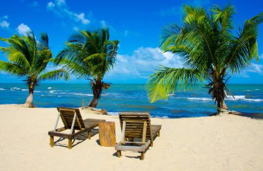 Paradise beach at Hopkins - tropical caribbean coast of Belize - Central America clipart