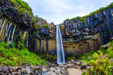 İzlanda'daki Svartifoss güzel şelale
