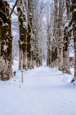 Oberstdorf, Allgaeu, Bavyera, Almanya, Almanya Alpleri'nde güzel kış manzarası