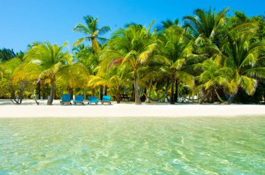 Güney Su Caye Belize - küçük Karayip Cennet Adası tropik beach tatil ve dinlenme için ile