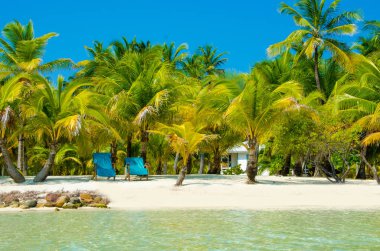 Güney Su Caye Belize - küçük Karayip Cennet Adası tropik beach tatil ve dinlenme için ile