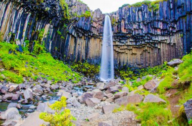İzlanda'daki Svartifoss güzel şelale