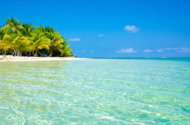 Güney Su Caye Belize - küçük Karayip Cennet Adası tropik beach tatil ve dinlenme için ile