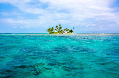 Tropikal ve cennet küçük ada, Karayip Denizi, Belize - Orta Amerika