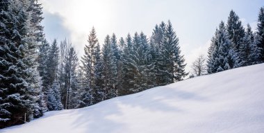 Oberstdorf, Allgaeu, Bavyera, Almanya, Almanya Alpleri'nde güzel kış manzarası