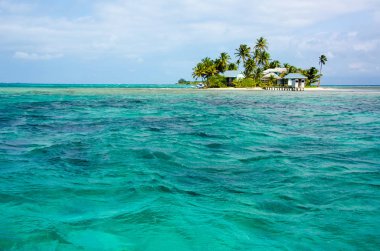 Tropikal ve cennet küçük ada, Karayip Denizi, Belize - Orta Amerika