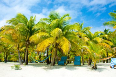 Güney Su Caye Belize - küçük Karayip Cennet Adası tropik beach tatil ve dinlenme için ile