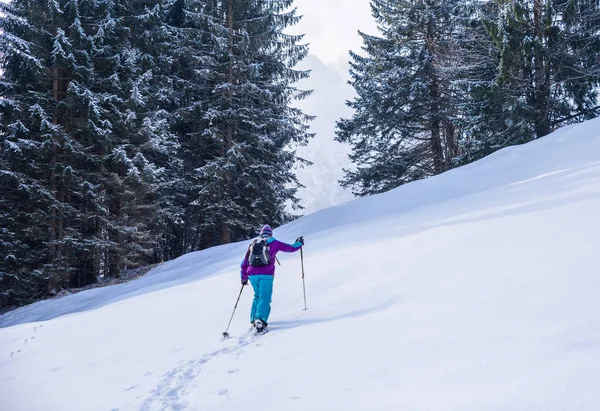 Caminhante Com Sapatos Neve Trilha Neve Paisagem Inverno Floresta Oberstdorf — Fotografia de Stock