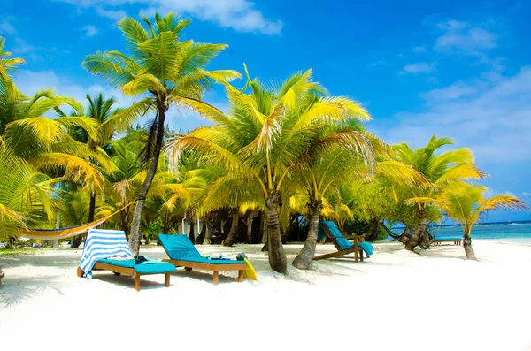 Güney Su Caye Belize - küçük Karayip Cennet Adası tropik beach tatil ve dinlenme için ile