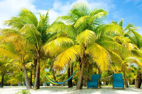 Güney Su Caye Belize - küçük Karayip Cennet Adası tropik beach tatil ve dinlenme için ile