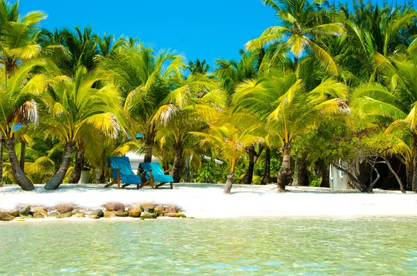 Güney Su Caye Belize - küçük Karayip Cennet Adası tropik beach tatil ve dinlenme için ile