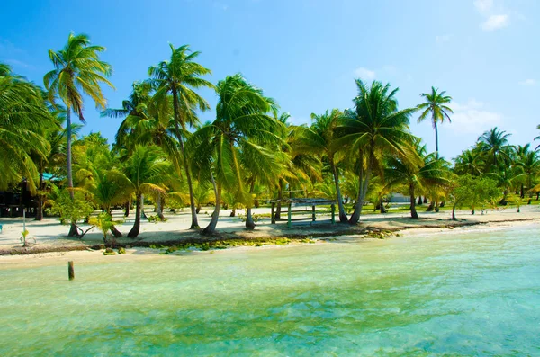 South Water Caye Belize Petite Île Paradisiaque Des Caraïbes Avec — Photo