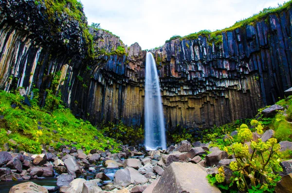 Svartifoss Bela Cachoeira Islândia — Fotografia de Stock