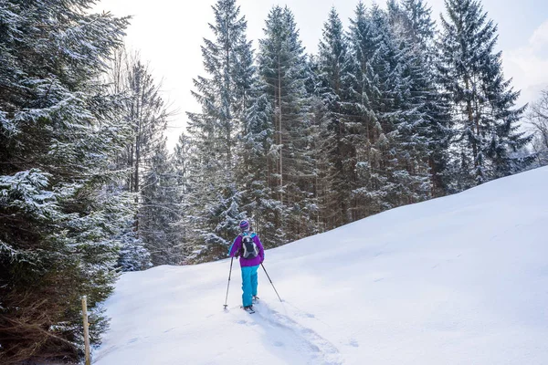 Fiyatı kar kış manzara orman Güney Almanya'da Oberstdorf, Bavyera Alpleri'nde kar izinde ayakkabıları ile. Güzel manzara ile iğne yapraklı ağaçlar ve beyaz kar. Kış spor aktivitesi.