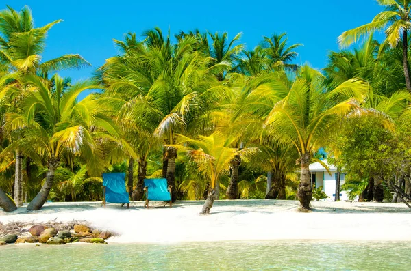 Güney Su Caye Belize - küçük Karayip Cennet Adası tropik beach tatil ve dinlenme için ile