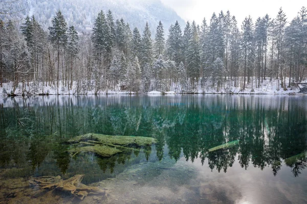 Trettach valley yakınındaki oberstdorf, Almanya pastoral Güney Bavyera yatay, kışın göl Christlessee