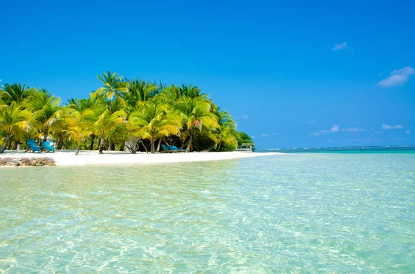South Water Caye Belize Piccola Isola Paradisiaca Caraibica Con Spiaggia — Foto Stock