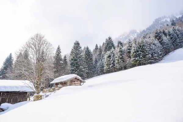 Krásná Zimní Krajina Německých Alpách Oberstdorfu Zahradu Bavorsko Německo — Stock fotografie