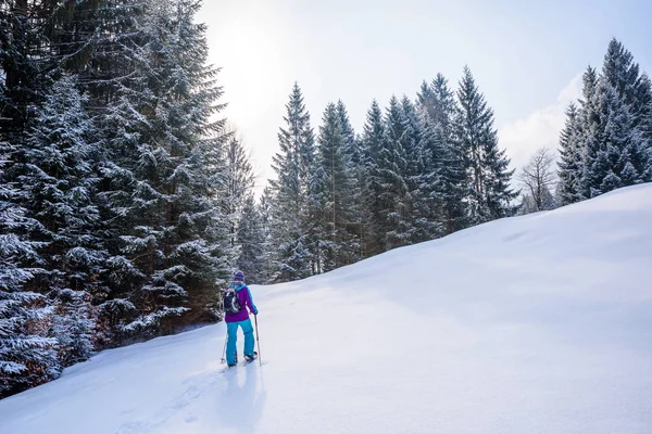 Fiyatı kar kış manzara orman Güney Almanya'da Oberstdorf, Bavyera Alpleri'nde kar izinde ayakkabıları ile. Güzel manzara ile iğne yapraklı ağaçlar ve beyaz kar. Kış spor aktivitesi.