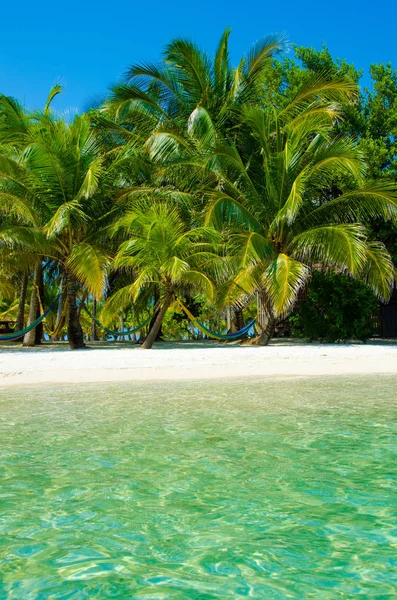 South Water Caye Belize Kleine Karibische Paradiesinsel Mit Tropischem Strand — Stockfoto