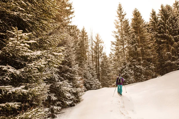 Kvinnen Går Tur Med Truger Snøscootere Vinterlandskapet Oberstdorf Bayern Sør – stockfoto