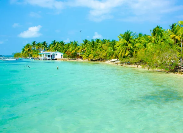 South Water Caye Belize Kleine Caribische Paradijseiland Met Tropisch Strand — Stockfoto