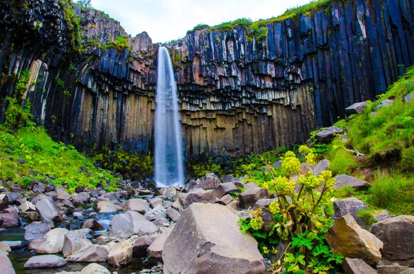 İzlanda'daki Svartifoss güzel şelale
