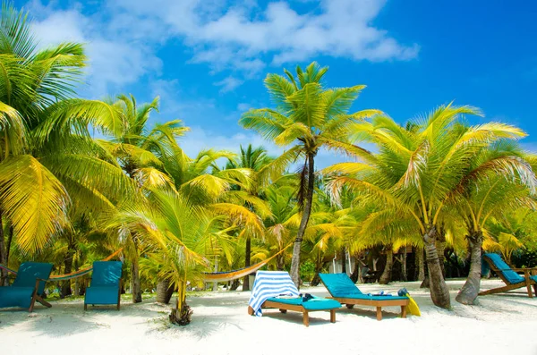 Güney Su Caye Belize - küçük Karayip Cennet Adası tropik beach tatil ve dinlenme için ile