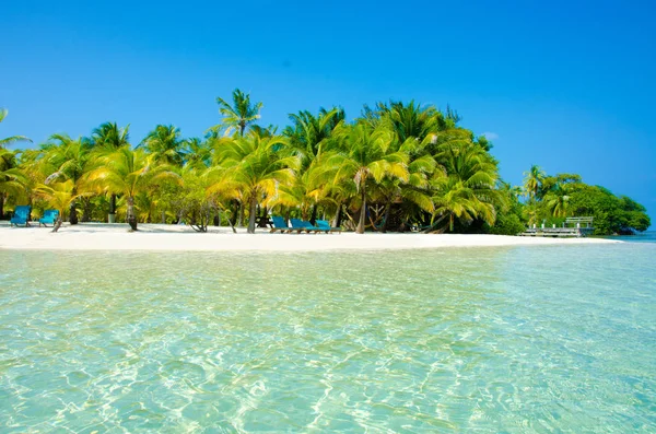 South Water Caye Belize Kleine Caribische Paradijseiland Met Tropisch Strand — Stockfoto