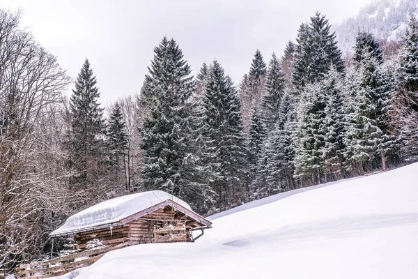 Oberstdorf, Allgaeu, Bavyera, Almanya, Almanya Alpleri'nde güzel kış manzarası