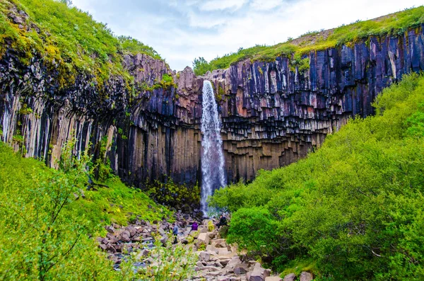İzlanda'daki Svartifoss güzel şelale