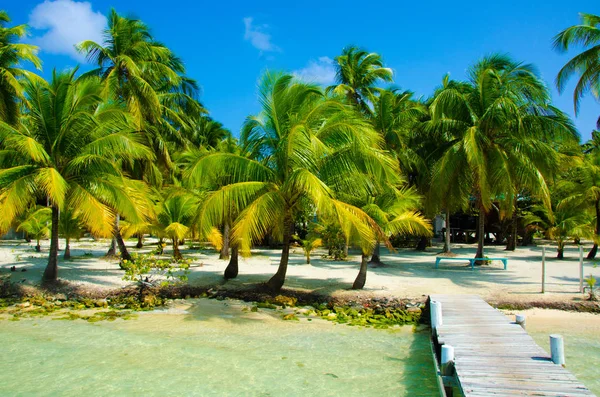 Güney Su Caye Belize - küçük Karayip Cennet Adası tropik beach tatil ve dinlenme için ile